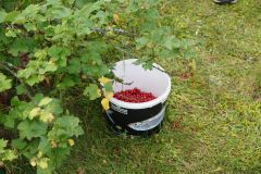 Rekolekcje-2025_16_wynik